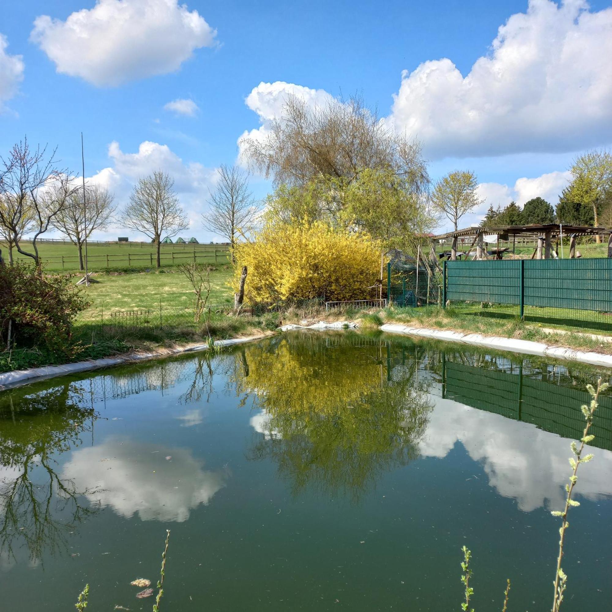 Zimmer Und Apartment Rosi Krakow am See Bagian luar foto